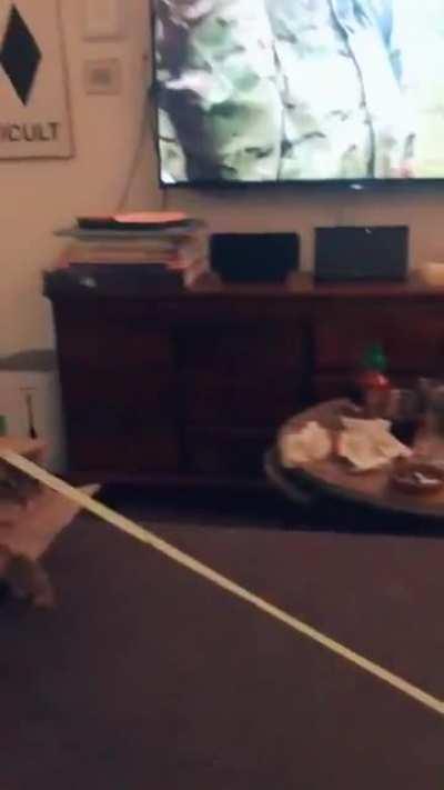 There's a tool for every job