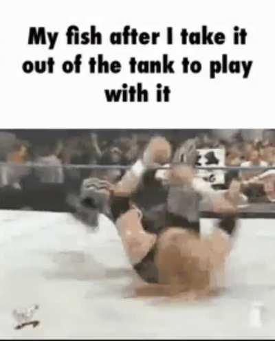 Cute lil fish 🤬🤬😡😡