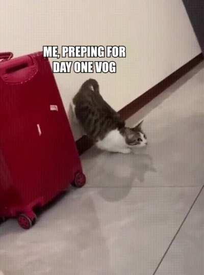 Maybe I'll try again tomorrow....