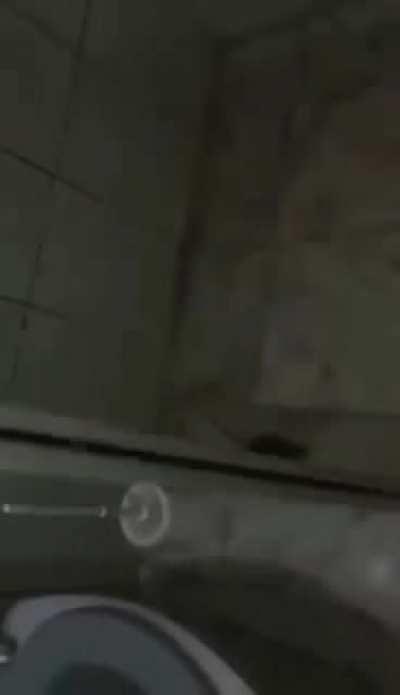 Só sai um vivo daqui