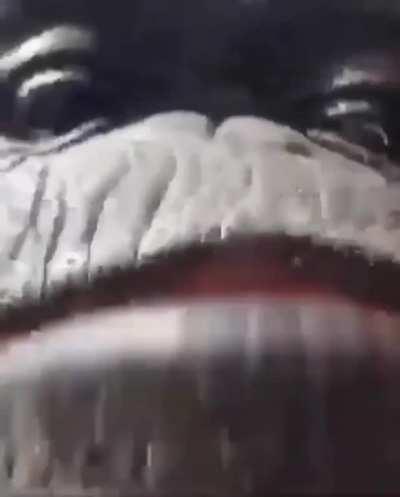 POV: Chris gives you a big smooch