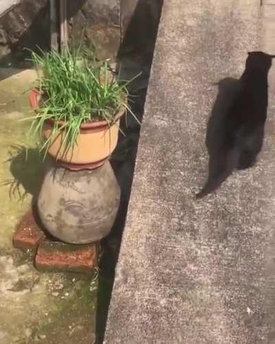 Hey! look how i'm having fun