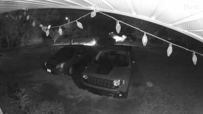 Some drunk idiot obliterated my mailbox last night