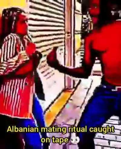 Seen in the wild 👀