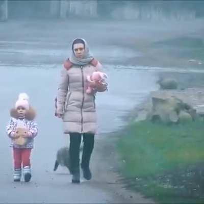 Cat turn a somersault