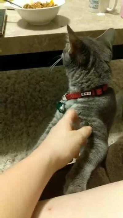 She does not like getting no for an answer