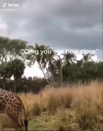 The kid knows what's up (niyaahxx on tiktok)