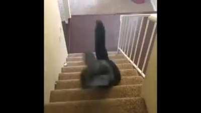 When you realize that you have yankee this monday