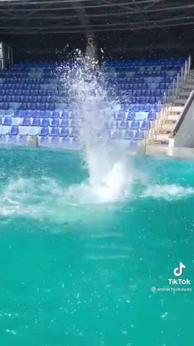 Did it just... Musty flick?