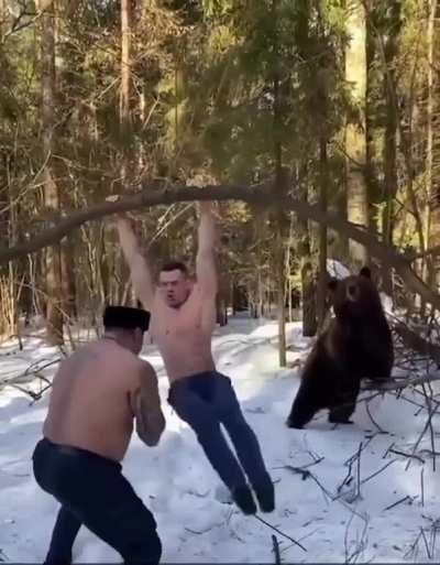 The bear trains you.