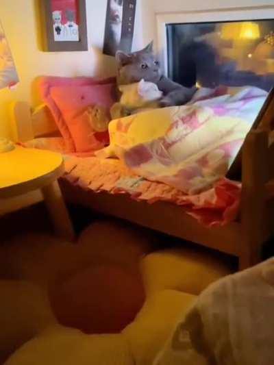 Let's hug together to warm up~