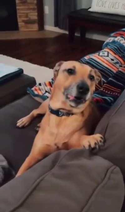 I'm alive, I'm dead.