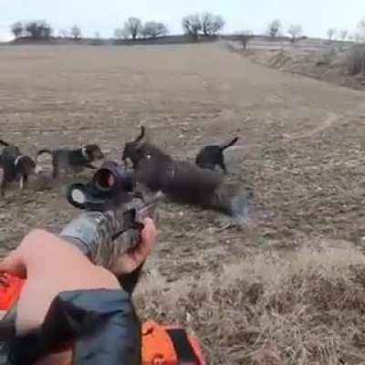 It was too close to attack