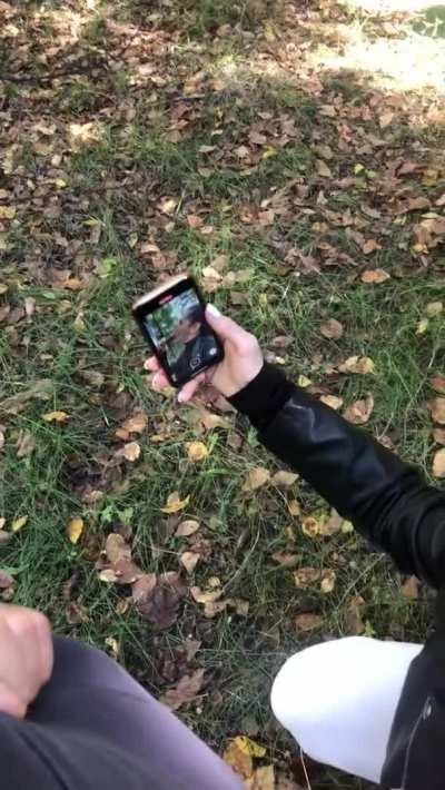 Big Dick Blowjob In the fires was amazing and hard