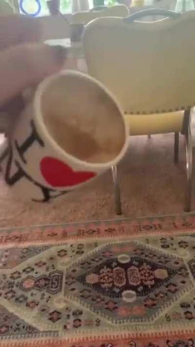 I'm sure they'll be calling tech support soon