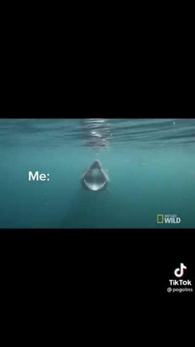 WHICH ONE OF YOU DID THIS