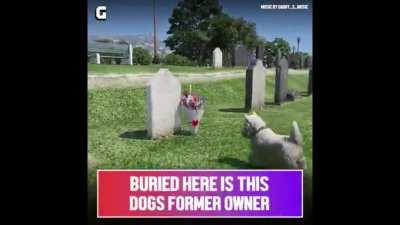 Hidden Secret in GTAV