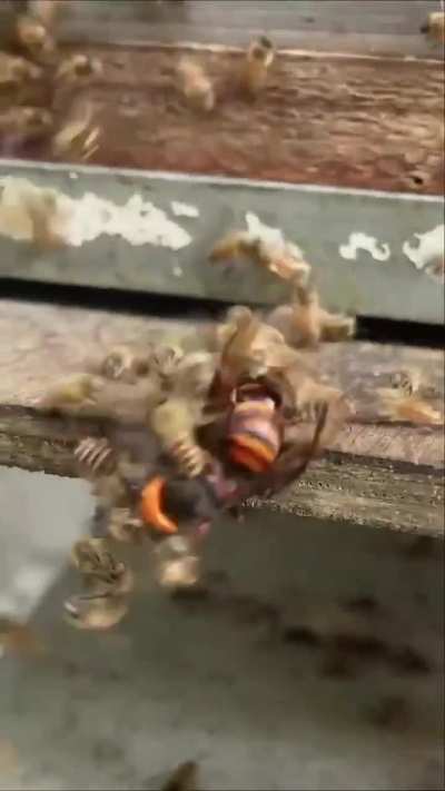 This is how we have to handle the 1%