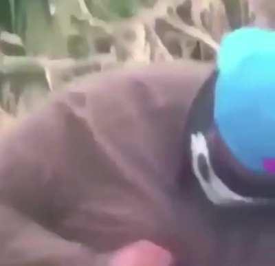 Damn cartels are ruthless