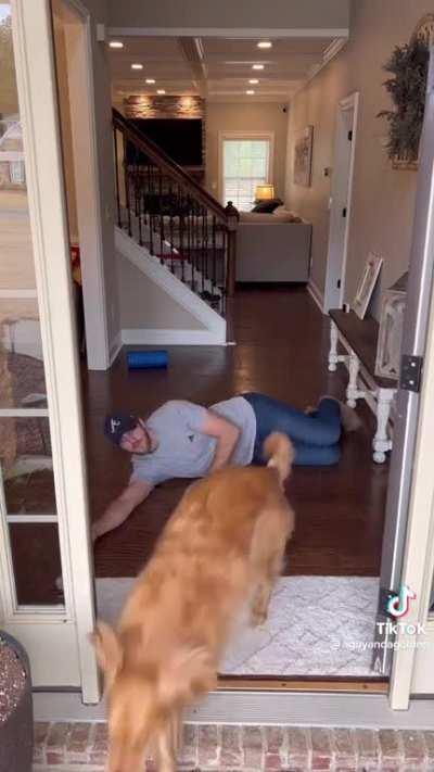 when your dog isn't the snuggle type