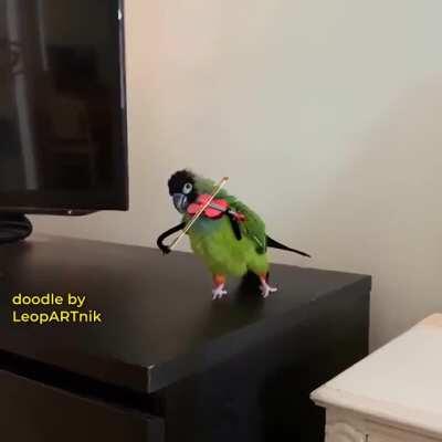 I am No Paganini, so the show is over