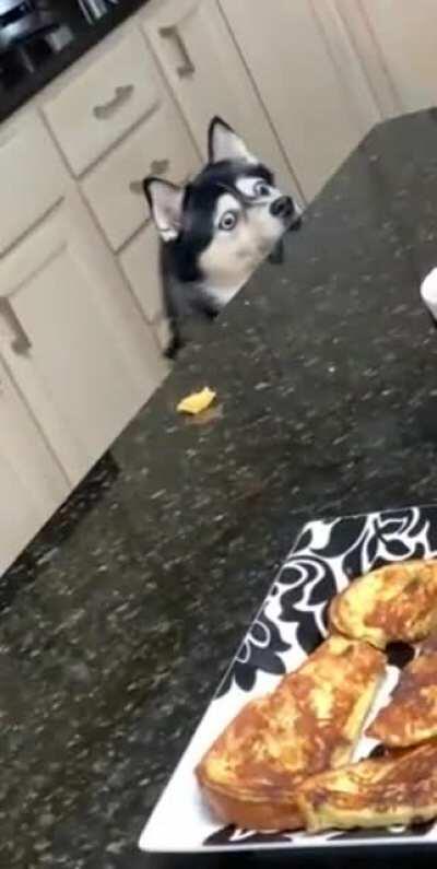 IS THAT FOOD?!