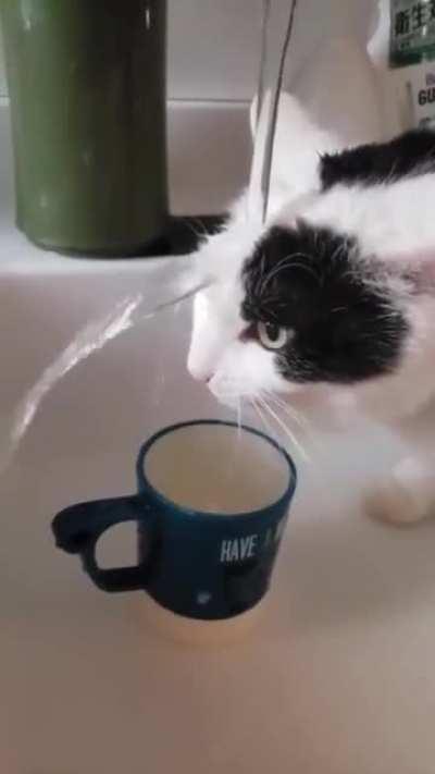 Hey human this water's broken