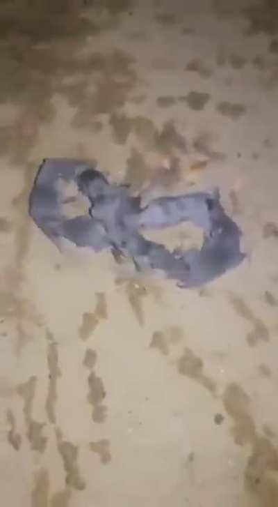 *Tesserat*, bender of all 3 dimensions.