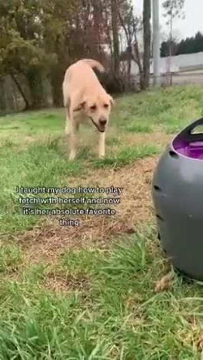 The most happiest dog I have ever seen