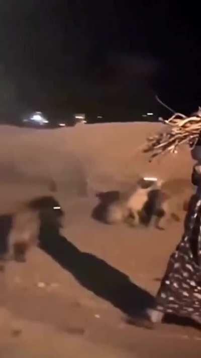 The Lady of the Jungle