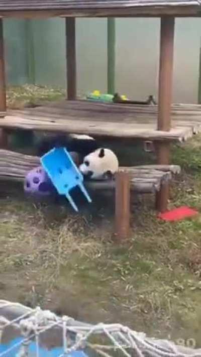 Режим «ассасина» активирован