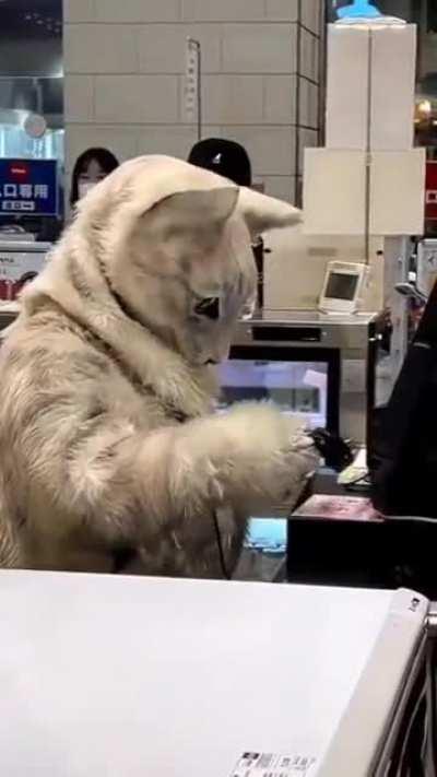 I have so many questions