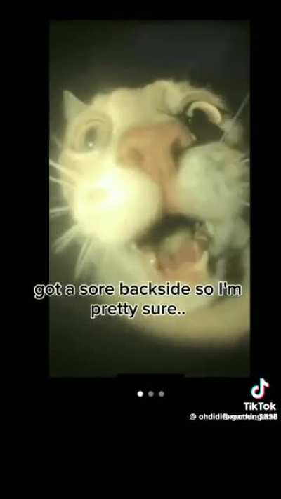 Annual reminder of the dragon porn accident. May those who have fallen rest in peace.😞