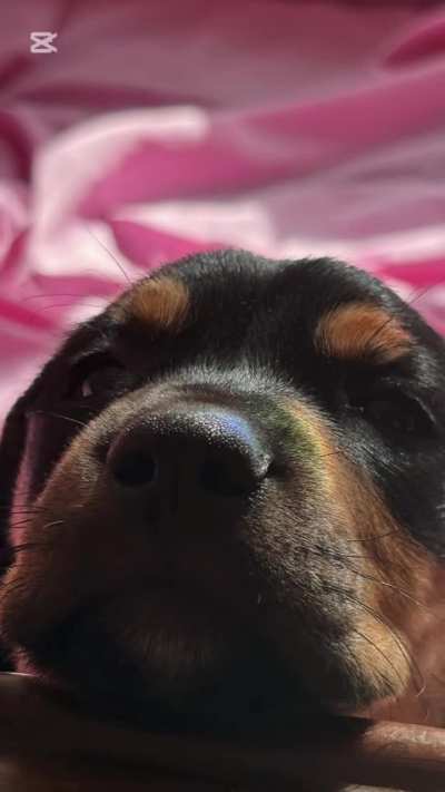 Al final le pusimos de nombre Hannah