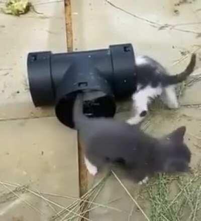 to catch each other