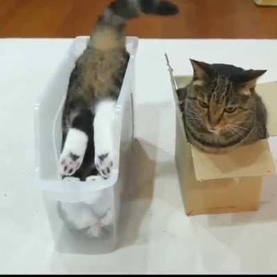 There. Now I'm comfortable