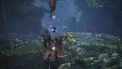 The MHW journey in a nutshell(Pre-Fatalis reveal)