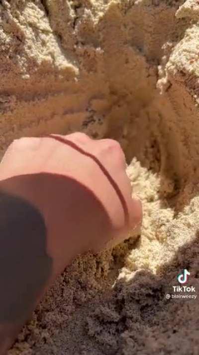 Digging in the sand…