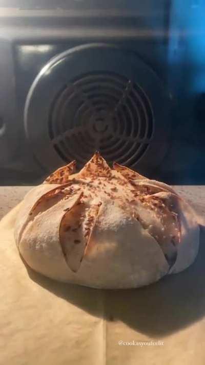 Anyone else a little hot in here? Must just be the oven...