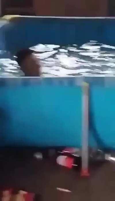 Clande con pile fail