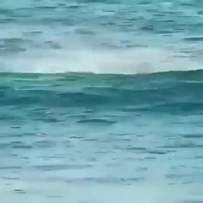 He definitely did that on porpoise