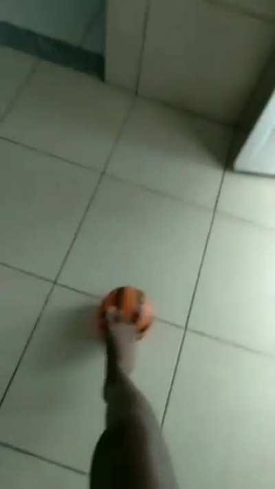 Mlk virou um passarinho