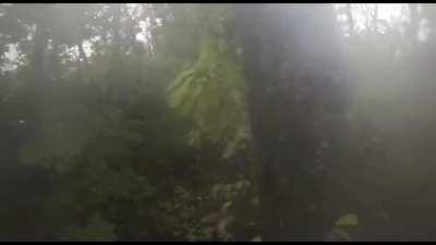 Headcam footage of Ukrainian soldiers in a firefight with Russian positions in a forest near Tverdohlibove, Luhansk Oblast during a raid a few weeks ago