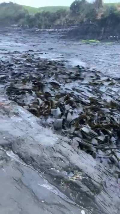 Breathing noodle soup