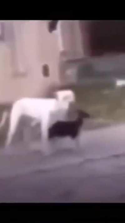 That's how i see y'all with height shawty stop That seriously 🤨🤨🤨