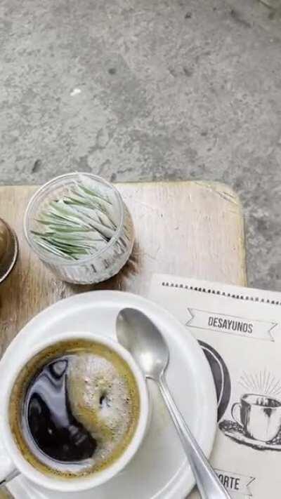 The best morning coffee on Tonala Street; Pan Comido; also all is Vegan food. Very good service. Thank you Mexico City.