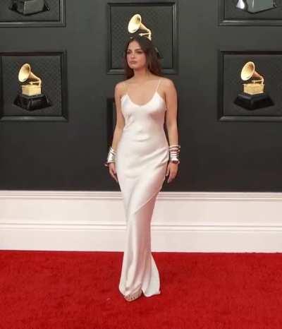 Grammy Awards Red Carpet 2