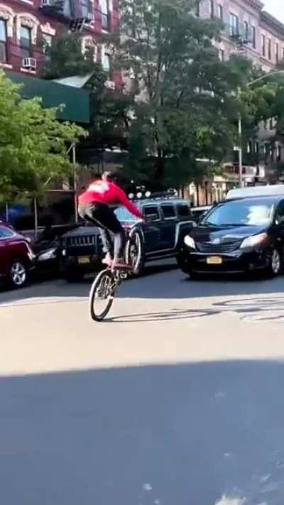 Idiot on a bicycle in NY, runs a red light, swerves at a car, gets hit by a scooter running a red light