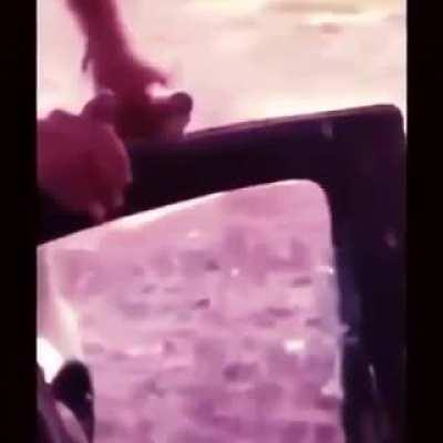 At least he wasn't driving (yet)