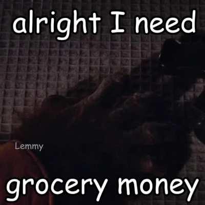 Obi-Wan needs grocery money